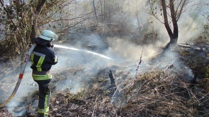 На Луганщине спасатели локализовали пожар сухой травы и лесного массива  