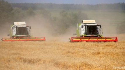 Украина наращивает импорт агропродукции 