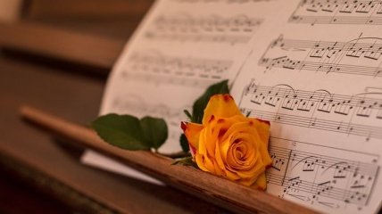 Музыкальная терапия: полезные свойства классической музыки 