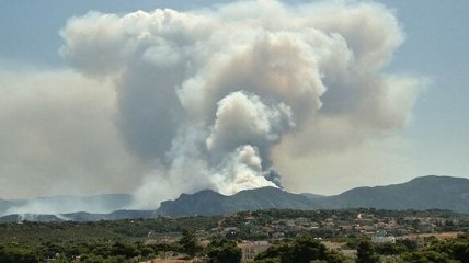 В Греции вспыхнули масштабные лесные пожары