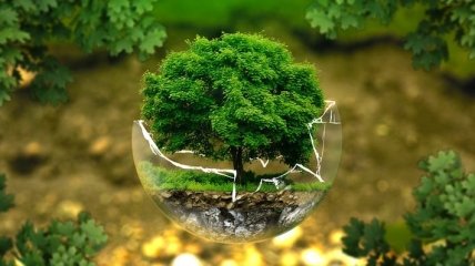 В Раде предлагают значительно повысить экологический налог 