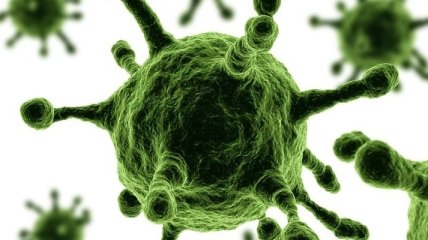 Ученые: вирус-мутант способен напрямую заражать человека