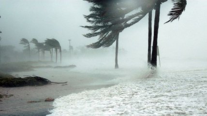 Ученые связали частые ураганы с повышением температуры океана