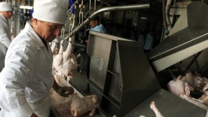 АМКУ намерен исследовать причины роста цен на курятину