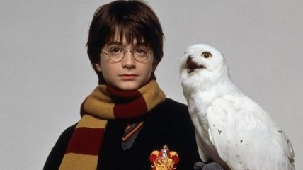 "Гарри Поттер" обвинен в исчезновении редких вид сов 