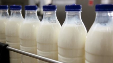Цена на молоко в Украине может вырасти