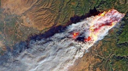 В РФ подсчитали сумму убытков из-за лесных пожаров