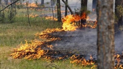 ГСЧС предупреждает о 5 уровне пожарной опасности на юге Украины