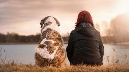 Собака в домі: як чотириногі друзі впливають на здоров'я господаря