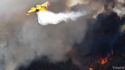 На Корсике и в Португалии тушат лесные пожары