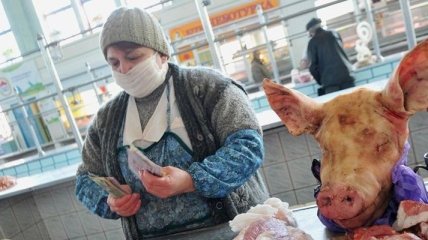 Беларусь временно ограничила импорт свинины из Запорожской области