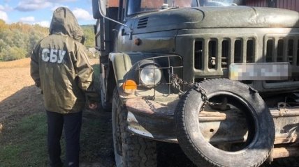 В Черновицкой области СБУ задержала должностных лиц лесхоза
