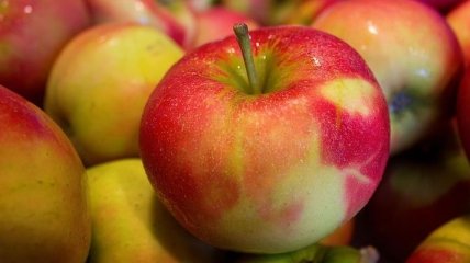 Врачи рассказали, почему яблоки стоит есть каждый день