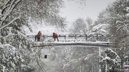 Зима вернулась: впечатляющие снежные снимки восточной Украины (Фото)