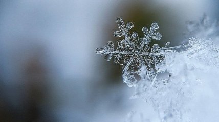 Снег решил не задерживаться: прогноз погоды на ближайшие дни