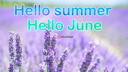 Листівки з першим днем літа-2022