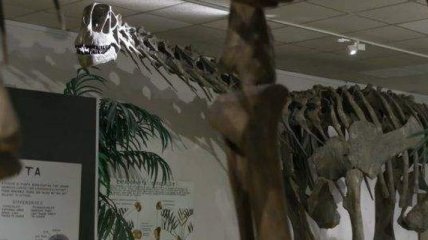 Ученые придумали, как оживить Мобозавруса