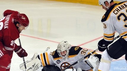 Игрок НХЛ умудрился забить в собственные ворота (Видео)