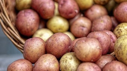 Украина в прошлом году рекордно увеличила импорт картофеля  