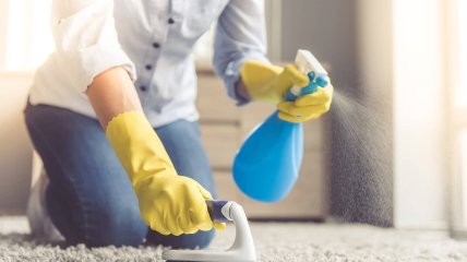 Чистота килимів у оселі дуже важлива