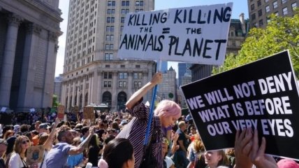 В Нью-Йорке проходит митинг за борьбу с климатическим кризисом (Фото и видео)