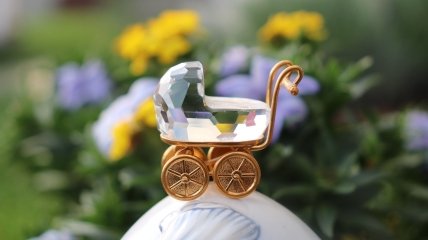 На когось у 2024 році чекає поповнення в сім’ї