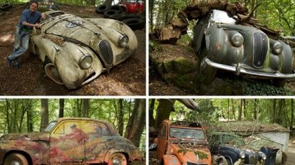 Коллекция старинных автомобилей в лесу (Фото)