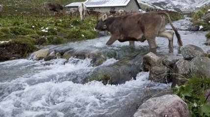 Трансграничные реки должны использоваться согласно конвенциям ООН