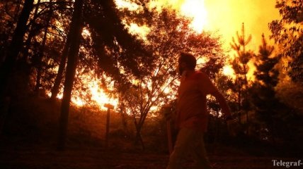 Лесные пожары в Чили не утихают, жертв уже 11