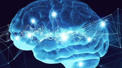Вчені вирішили дати комп’ютеру "живі" мізки: що з цього вийшло