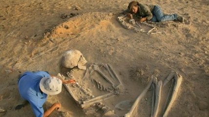 Гигантские скелеты из Эквадора отправлены на экспертизу 