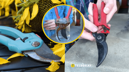 Благодаря этому совету можно сэкономить бюджет