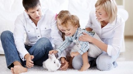Дети и домашние животные: соблюдаем правила общения