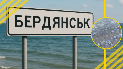 В оккупированном Бердянске на берегу моря много медуз
