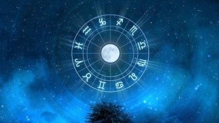 Восточный гороскоп на 2016 год Огненной Обезьяны: планируем с умом