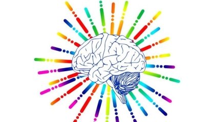 Ученые обнаружили органические особенности строения мозга людей с аутизмом