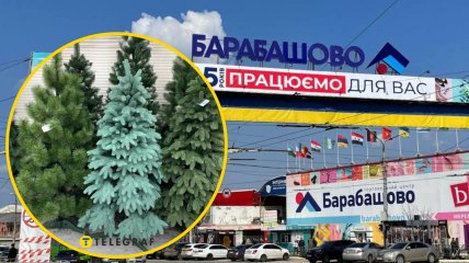 Рынок "Барабашово", Харьков