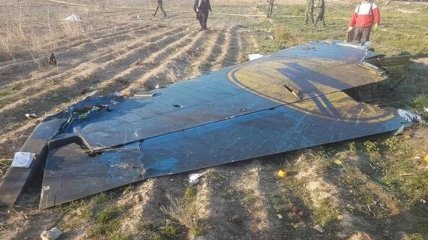 Крушение самолета МАУ в Иране: Украина просит 6 стран помочь в расследовании