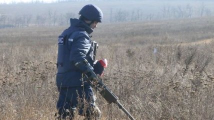 Пиротехники изъяли 19 взрывоопасных предметов в районе Петровского