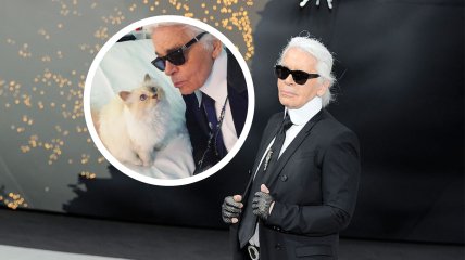 Карл Лагерфельд имел кошку, которую зовут Шупетт