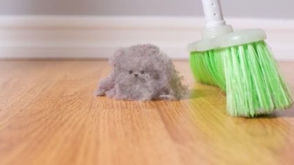В чем опасность домашней пыли