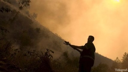 В Болгарии продолжают тушить 12 лесных и полевых пожаров