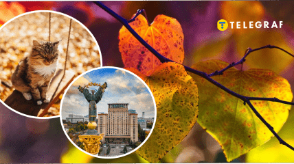 Когда в Украине будет жара в сентябре