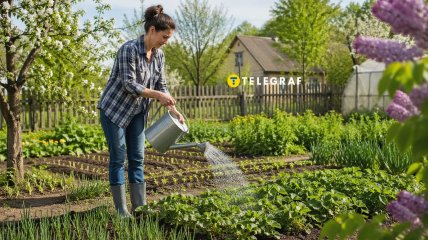 Женщина поливает растения