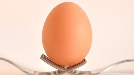 Тайна раскрыта: стало известно, что означало "нашумевшее" фото яйца в сети