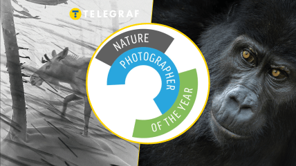 Ілюстративне фото