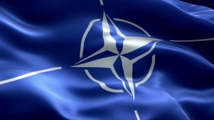 НАТО - не место для решения двусторонних проблем: США "поговорит" с Венгрией