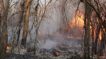 Ситуация в Чернобыле: пожарные до сих пор тушат несколько очагов