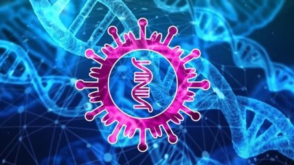 Хороший знак для ученых: обнаружены потенциальные мишени иммунного ответа на коронавирус