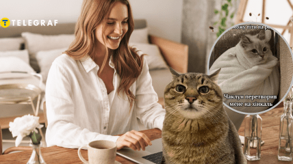 Меми про роботу